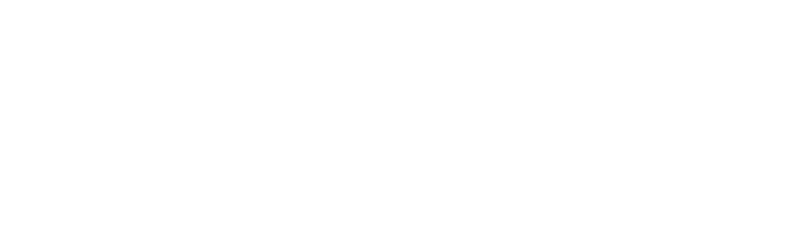 iRepair